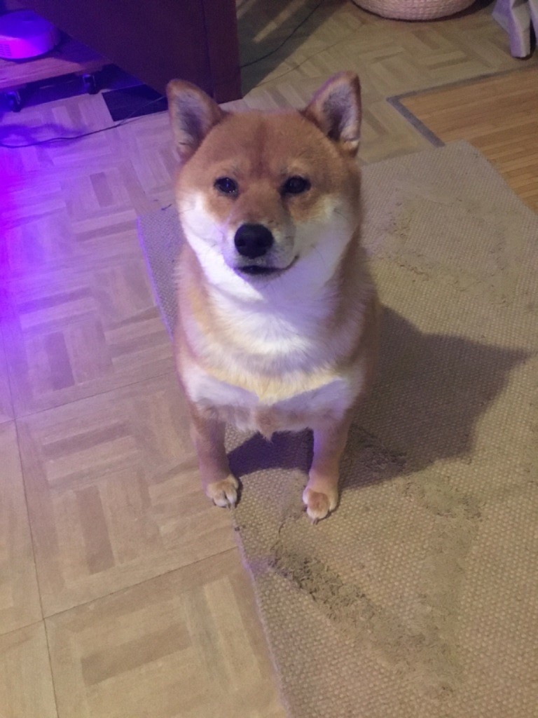 Keiko du Crépuscule des Petits Anges